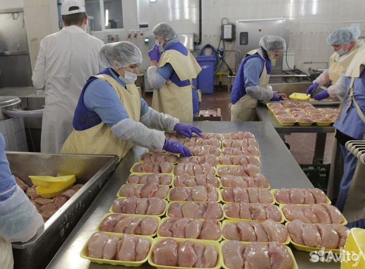 Самарская область разнорабочий на птицефабрику