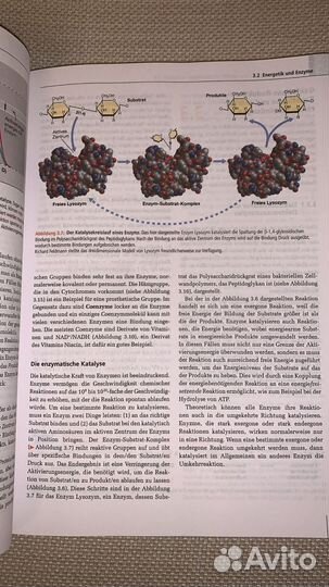 Микробиология на немецком языке
