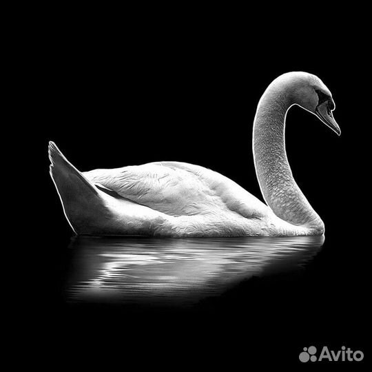 Оформление гравировки для надгробных плит