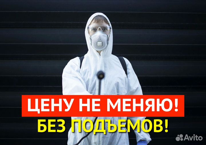 Обработка от тараканов, клопов, блох, муравьев