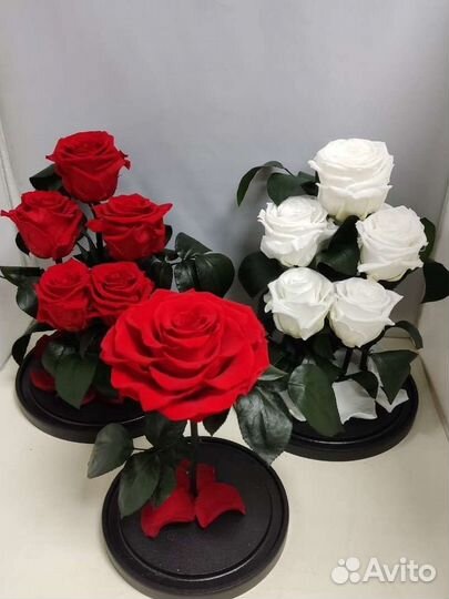 Роза стабилизированная оптом и в розницу