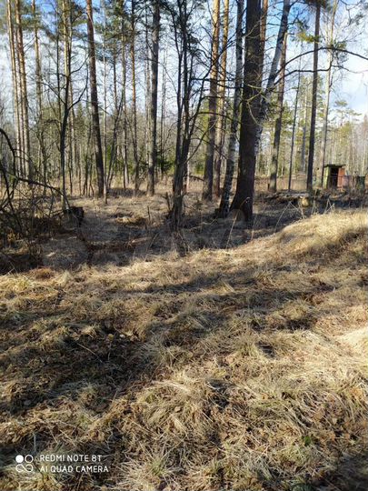 Участок 10 сот. (ИЖС)