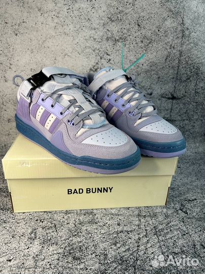 Adidas campus BAD bunny