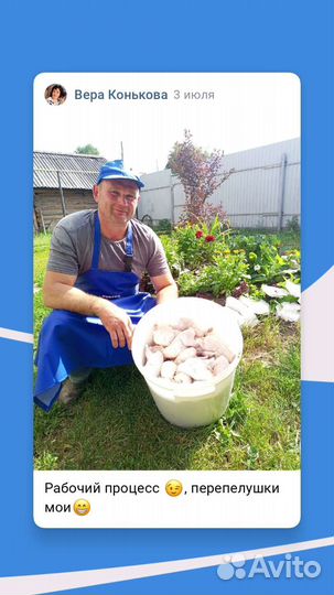 Фермерские продукты Перепелки