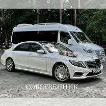 Аренда авто на свадьбу белый Мерседес S class