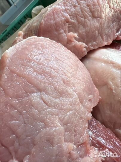 Мясо свинина