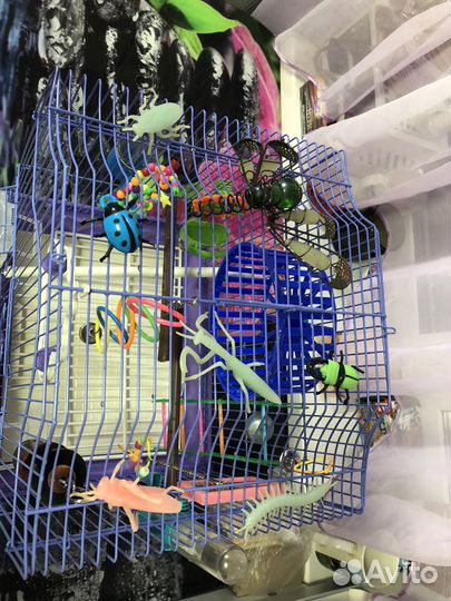 Клетка для Попугая