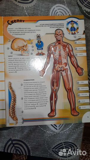 Тело человека книга