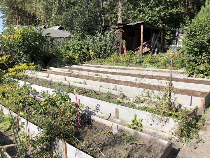 Дача 24 м² на участке 6 сот.