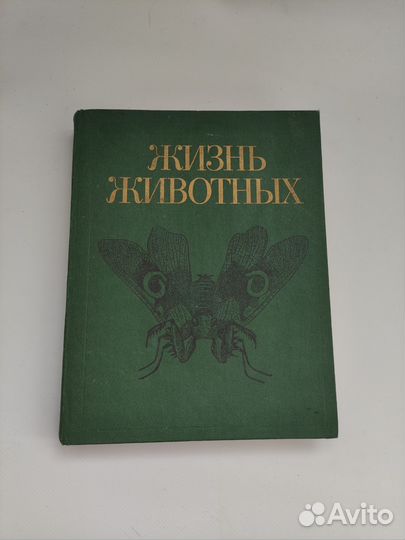 Энциклопедия Жизнь животных СССР Членистоногие
