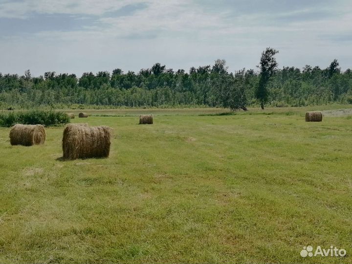 Сено в рулонах