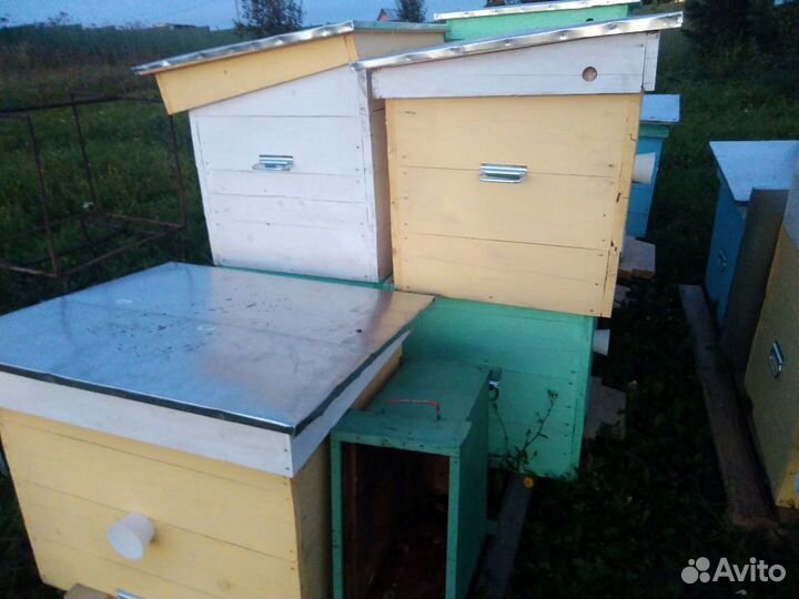 Улей для пчел