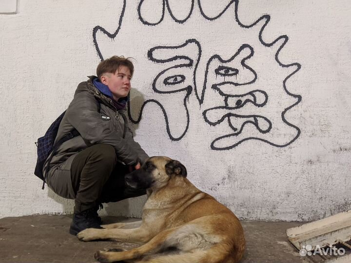 Передержка, выгул собак, зооняня