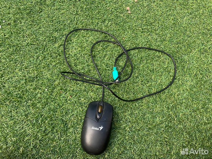 Монитор самсунг s19d300