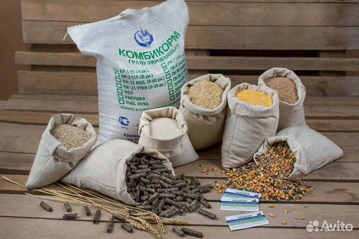 Корма для животных и птицы