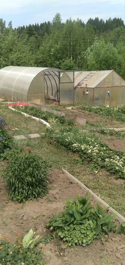 Дом 32 м² на участке 10 сот.