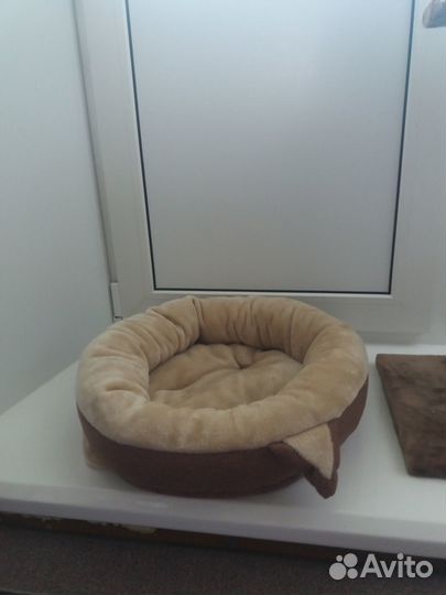 Принадлежности для кошки