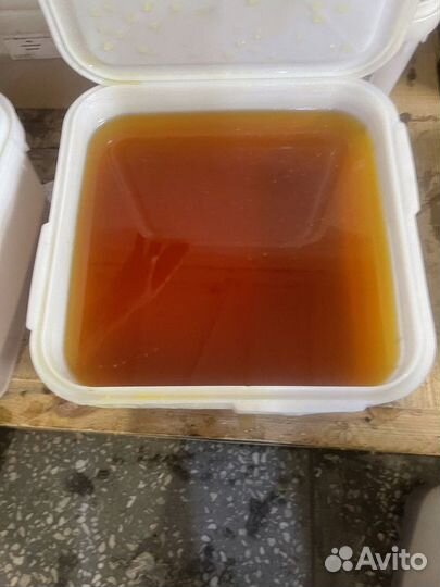 Цветочный свежий натуральный мёд 2023 г. опт