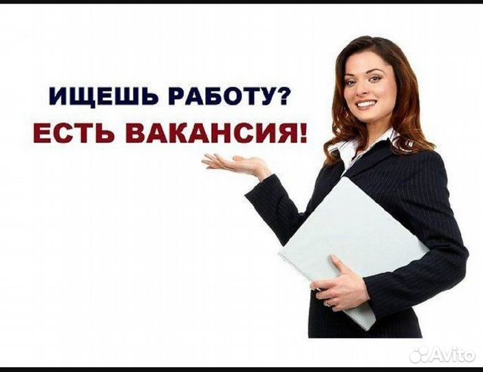 Помощник администратора