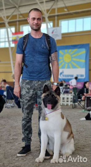 Кинолог/Хендлер дрессировка собак любых пород