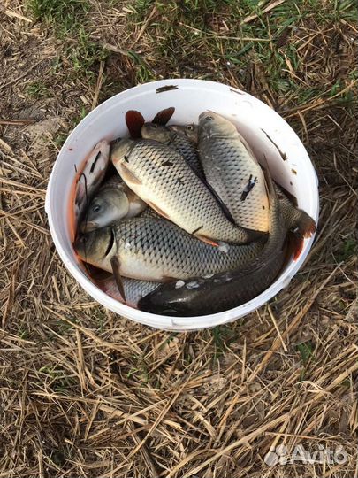 Рыбалка Охота Активный отдых