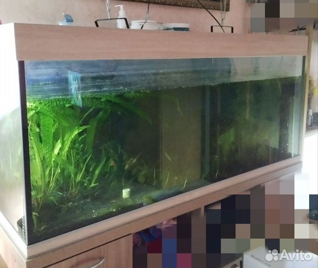 Аквариум