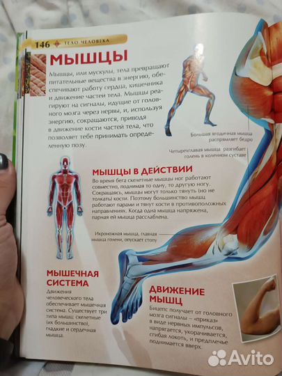 Детская энциклопедия