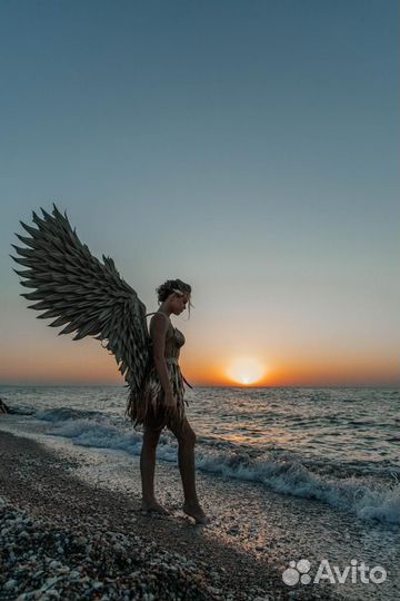 Прокат Крыльев