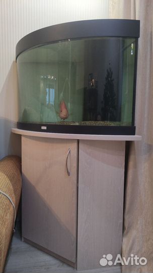 Аквариум с тумбой juwel trigon 190