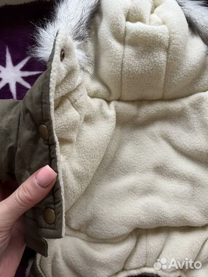 Зимний костюм для маленькой собачки