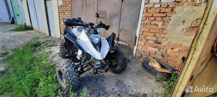 Рысь 125