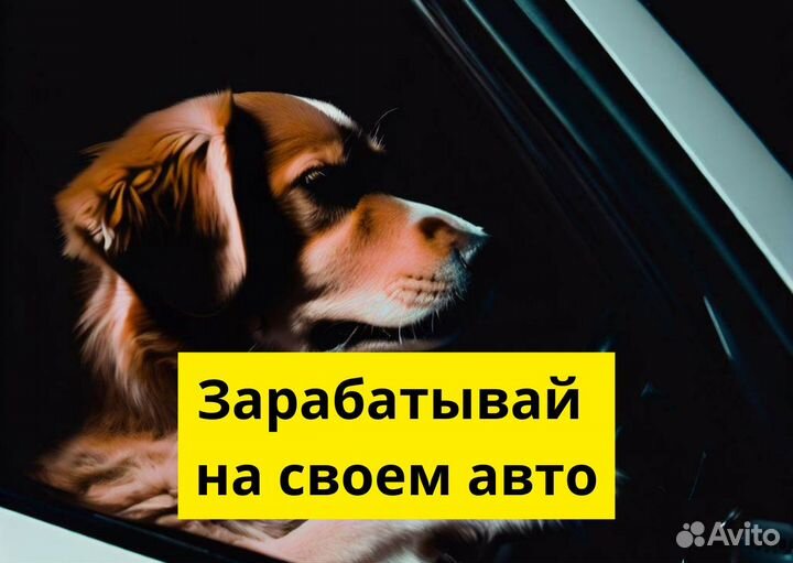 Подключи свое авто к Яндекс Go