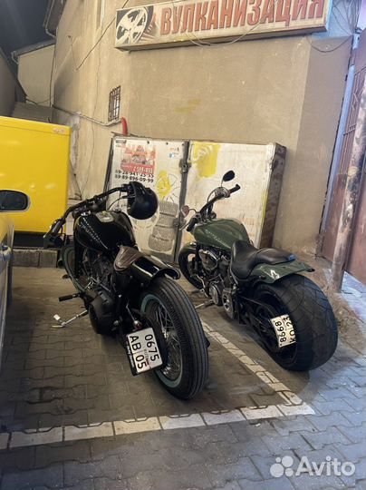 Harley Davidson softail