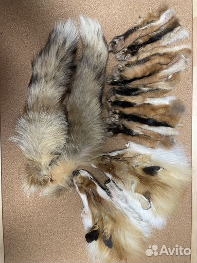 Натуральный мех лисы хвост лапы для творчества