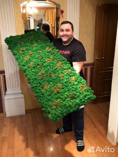 Мох Стабилизированный ягель, кочка, пласт, панно