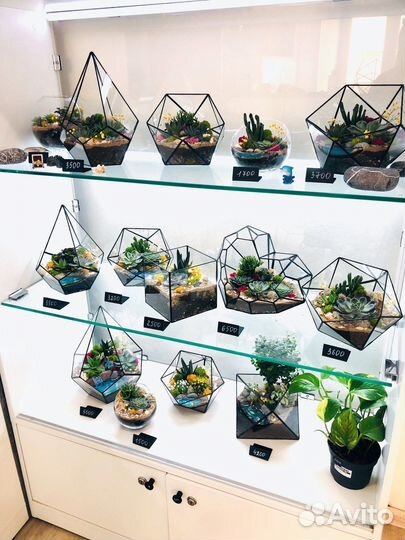 Флорариумы в наличии