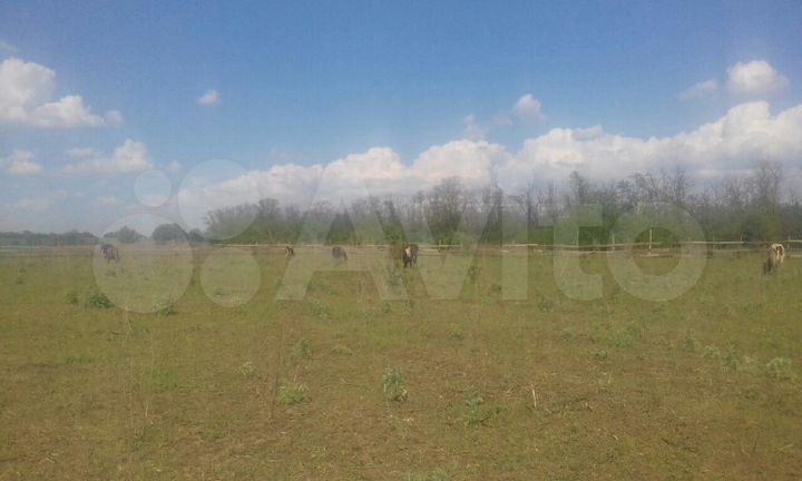 Участок 1,5 га (ИЖС)