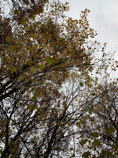 Дом 110 м² на участке 5 сот.