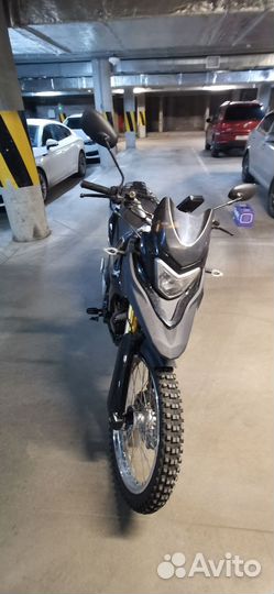 Racer Ranger rc300 gy8