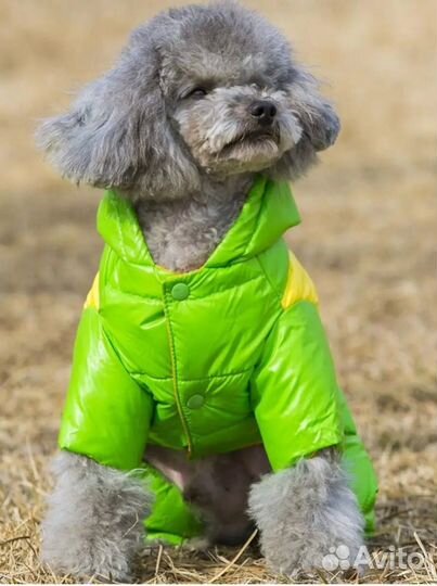 Комбинезон для собак мелких пород