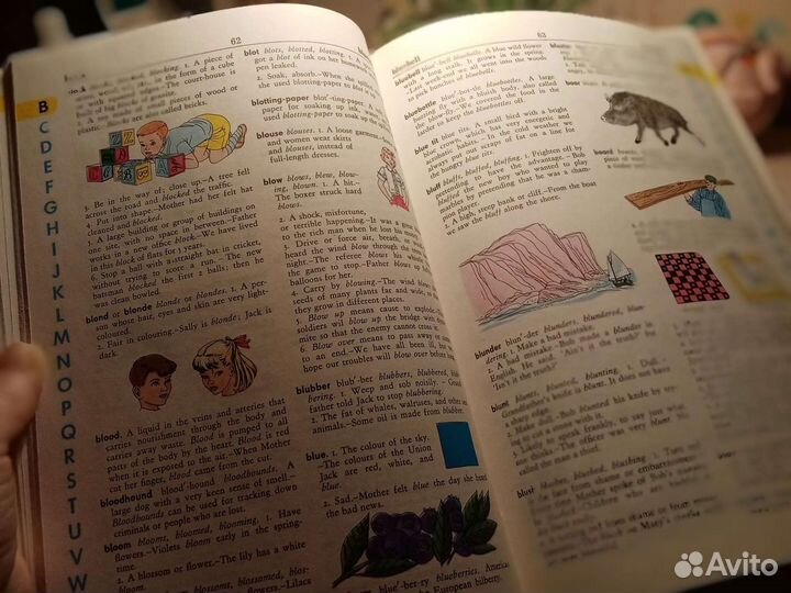 Большой цветной словарь /The Giant All-Colour dict