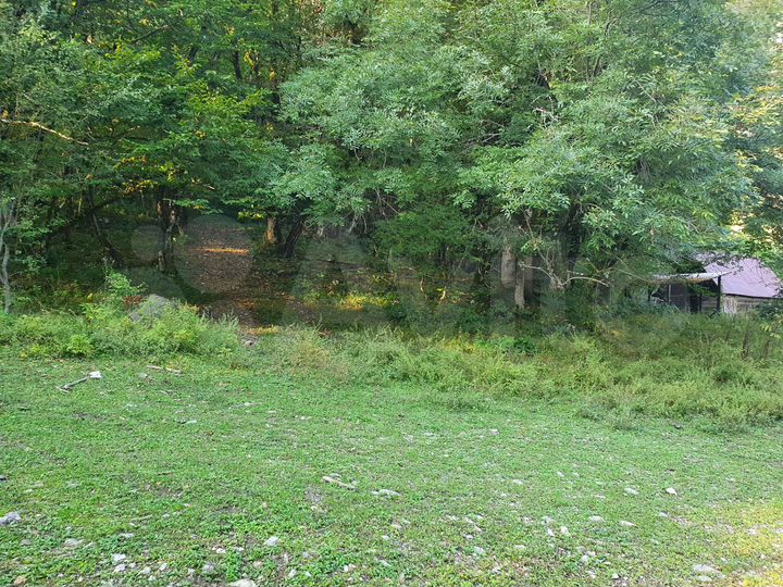 Участок 30,4 сот. (ИЖС)