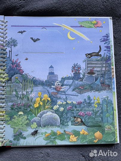 Книги зачем Отчего Почему