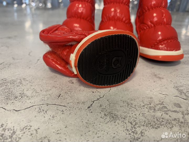 Обувь для собак