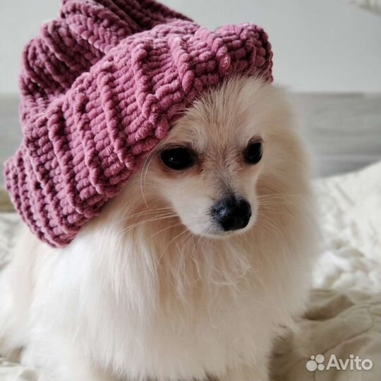 Померанский шпиц вязка кобель