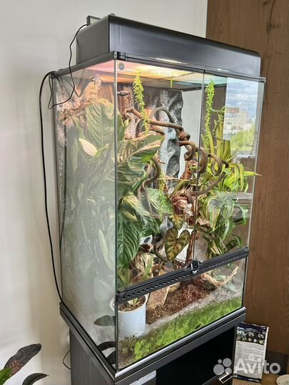 Террариум Палюдариум Hagen Exo-Terra 60x45x90