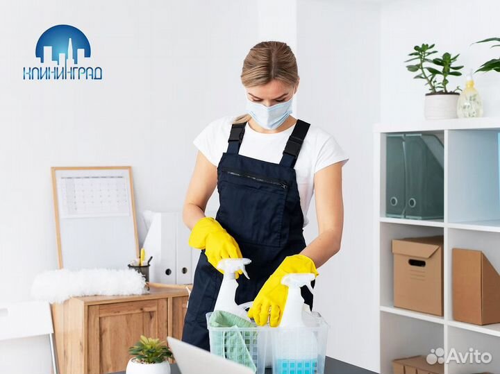 «клининград» - бизнес клининговых услуг