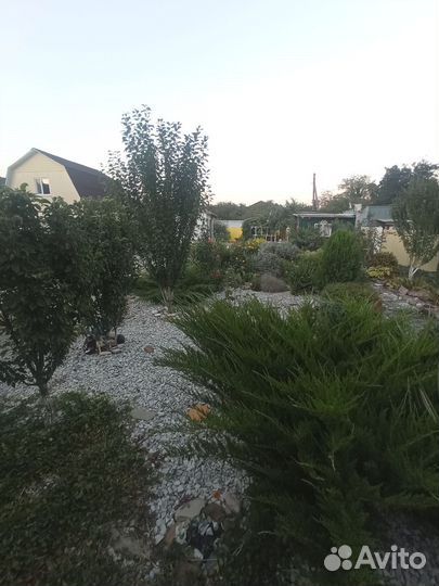 Услуги садовника, ландшафтный дизайн