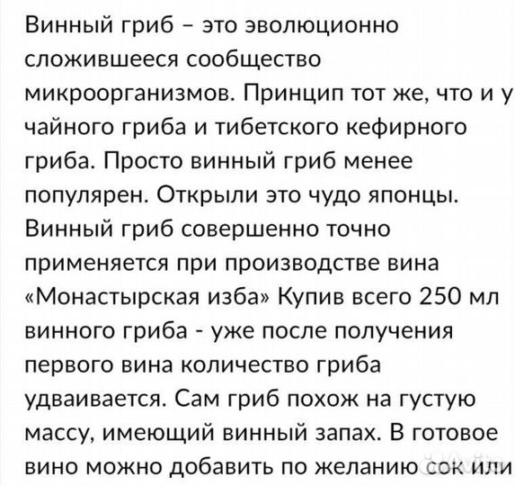 Винный гриб