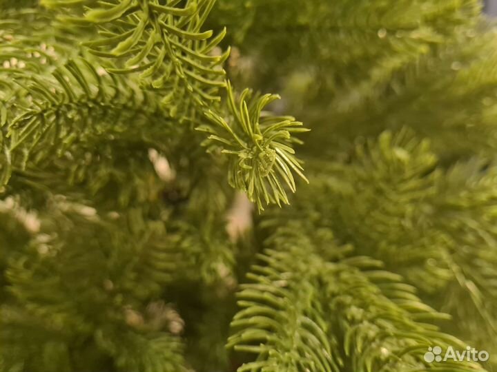 Литая елка 180 см